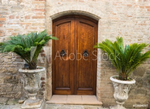Picture of Elegante porta di legno